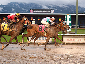 Stepupforthemoney wins the 2013 CTHS Sales Stakes.