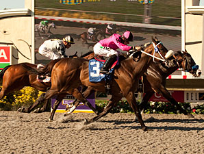 Sterling Outlook (inside) and Mensa Heat deadheat in the 2011 Pirate's Bounty.