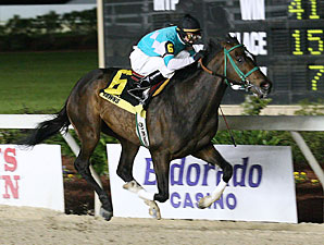 Stonehouse wins the 2009 Gulf Coast Classic.