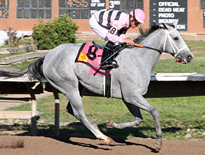 Storm With Flair wins the Dessie and Fern Sawyer Futurity.