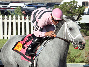 Storm With Flair wins the Dessie and Fern Sawyer Futurity.