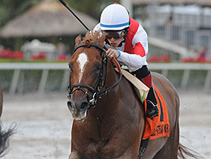 Storming Inti wins the 2013 Pulpit Stakes.
