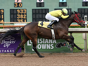 10-3-09	Storming Suzy with Juan Larrosa up pulls away to win the Lady Razorback Futurity at Louisiana Downs. 