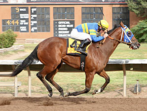 Storms Surprise wins The George Maloo Futurity.