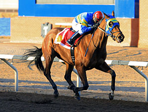 Storms Surprise wins the Red Hedeman Mile.
