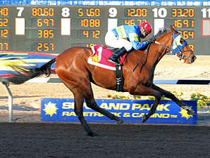 Storms Surprise wins the Red Hedeman Mile.
