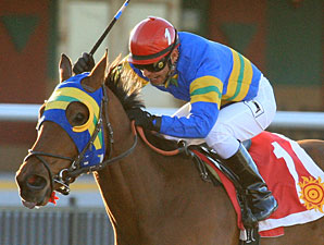 Storms Surprise wins the Red Hedeman Mile.