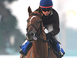 Stormy Lord preps for the Pattison Canadian International