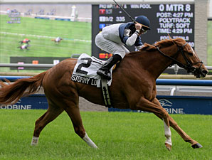 Stormy Lord wins the 2011 Connaught Cup Stakes.
