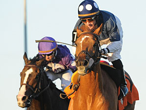 Stormy Lord wins the 2011 Ontario Jockey Club Stakes.