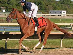 Stormy Lord wins the 2012 PTHA President's Cup.