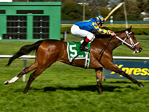 Stormy Lucy wins the 2012 Golden Poppy.