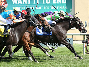 Stoupinator Wins the 2013 Northbound Pride Oaks.