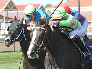 Stoupinator Wins the 2013 Northbound Pride Oaks.