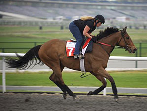 Stradivinsky, Dubai 2011