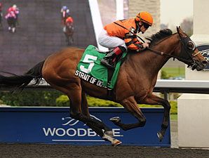 Straight of Dover wins the 2012 Marine Stakes.