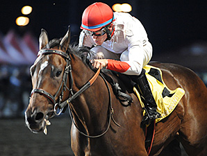 Strawberry Baby wins the 2014 Prairie Gold Lassie Stakes.