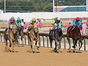 Strawberry Cupcake wins the 2014 Dr. Ernest Benner Handicap.