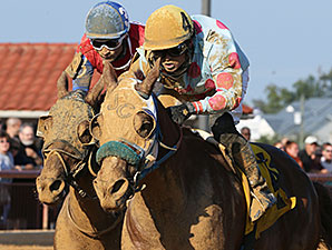 Strawberry Cupcake wins the 2014 Dr. Ernest Benner Handicap.