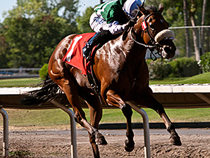Streamside wins the 2014 Oak Tree Sprint Stakes.
