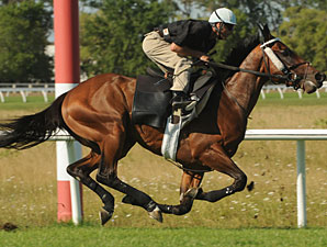 Street Fight - Woodbine, August 3, 2012.