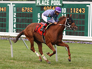 Street Gem wins the 2013 Desert Vixen Stakes.