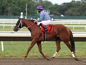 Street Gem wins the 2013 Desert Vixen Stakes.