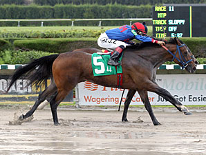 Street Girl wins the 2013 Calder Oaks.