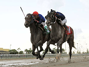 Street Girl wins the 2013 Calder Oaks.