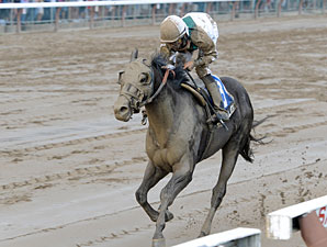 Street Life wins the 2012 Curlin Stakes.