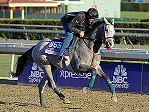 Street Sailing - Breeders' Cup 10/31/2013