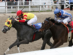 Street Storm wins the 2011 Mardi Gras.