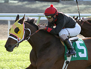 Strike Impact wins the 'Buddy' Diliberto Memorial Handicap.