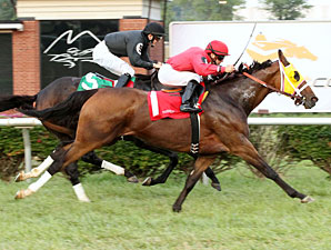 Strike Impact wins The Independence Day Stakes.