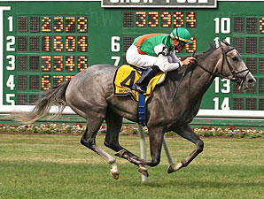 Strike It Rich wins the 2010 Boiling Springs.