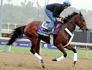 Strike the Moon - Breeders' Cup 2012