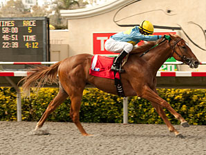 Strong Wind wins the 2012 Graduation Stakes.
