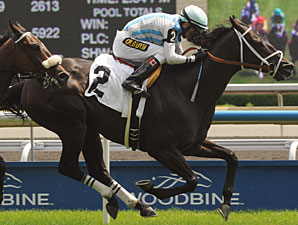 Stunning Stag wins the Jockey Club Stakes.