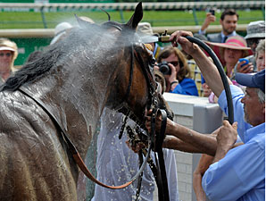 Successful Dan after winning the 2012 Alysheba.