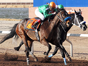 Sudden Ghost wins the 2013 El Diario.