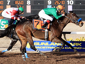 Sudden Ghost wins the 2013 El Diario.