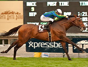 Suggestive Boy wins the 2013 Arcadia.