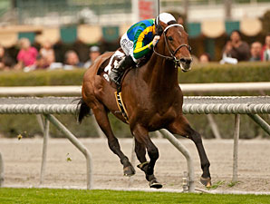 Suggestive Boy wins the 2013 Arcadia.