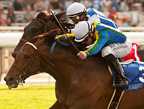 Suggestive Boy wins the 2013 Frank E. Kilroe Mile.