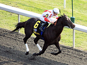 Sum of the Parts wins the 2012 Stoll Keenon Ogden Phoenix Stakes.