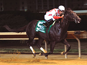 Sum of the Parts wins the 2012 Red Legend.