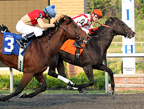 Sum of the Parts wins the 2012 Tom Ridge Stakes.