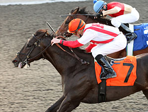 Sum of the Parts wins the 2012 Tom Ridge Stakes.