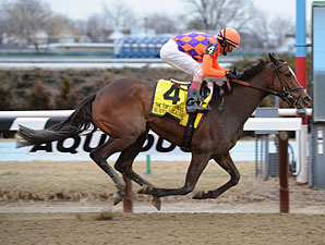 Summer Applause wins the 2013 Top Flight.