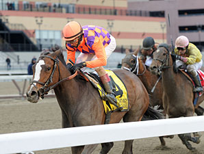 Summer Applause wins the 2013 Top Flight.